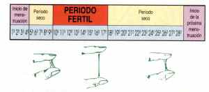 El grado de viscosidad del moco del cervix permite establecer el periodo fértil. Ojo esta imagen no debe ser considerada como guia sinó como ejemplo. Consulta a tu ginecolog@ para aplicar este sistema.